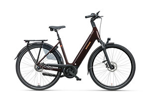 Batavus Batavus Finez Power Exclusive  | Dark Red Brown