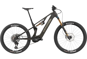 Cannondale Cannondale Moterra Carbon SL 1  | Raw