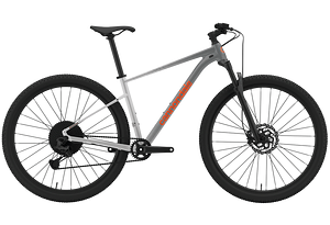 Cannondale Cannondale Trail SL 1 | Stealth Grey