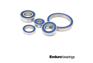 Enduro Bearings Enduro Bearings 6900 LLB Abec3 | 10x22x6