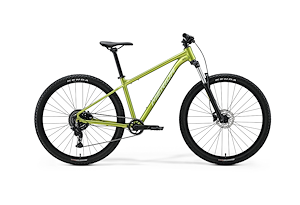 Merida Merida Big.Nine 20 | MTB Hardtail | 29" | Green-Silver Green