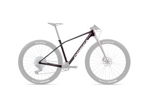 Orbea Orbea Alma OMX | Hardtail MTB | Red Wine Carbon View / Carbon Raw