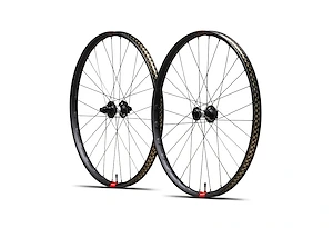 Reserve Reserve 30|HD Carbon 29 | DT 350 110/148 XD 6b 90T