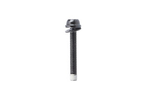 Shimano Shimano Flat Mount Fästskruv C2 29 mm | För 20 mm Ramtjocklek | Dura-Ace R9270