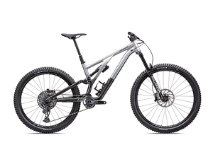 Specialized Specialized Stumpjumper EVO Elite Alloy | Silver Dust/Black TINT Carbon