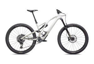 Specialized Specialized Stumpjumper EVO Expert | Gloss Birch / Taupe