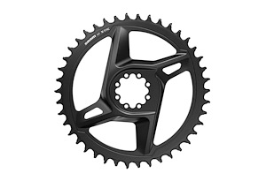 SRAM SRAM Kedjedrev Direct Mount (8-Bolt) Singlespeed 40T | Svart | 1x12/13
