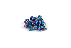 SRAM SRAM Rotor bolt kit | Rainbow Bolts