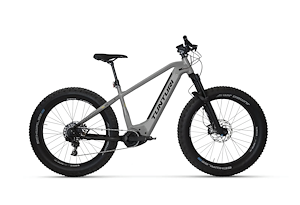 Tunturi Tunturi E max EBF 600 | e-MTB Fatbike Hardtail | Gray-Black-Gold
