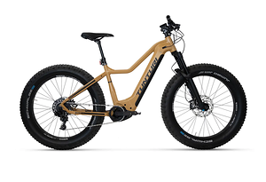 Tunturi Tunturi E-MAX EBF600  | Beige/Black/Red