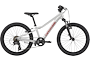 Cannondale Kids Trail 20 Barncykel MTB 20" Silver från TCMcykel.se Artikel nr: 33546