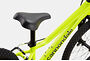 Cannondale Cannondale Kids Trail 20 | Volt