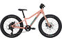 Cannondale Cannondale Kids Trail 20 Plus | Barncykel MTB | Salmon