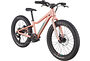 Cannondale Cannondale Kids Trail 20 Plus | Barncykel MTB | Salmon