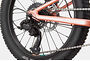 Cannondale Cannondale Kids Trail 20 Plus | Barncykel MTB | Salmon