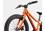 Cannondale Cannondale Kids Trail 20 Plus | Orange