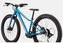 Cannondale Cannondale Kids Trail 24 Plus | Barncykel MTB 24 Tum | Deep Teal / Blå