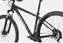 Cannondale Cannondale Trail 5 | Graphite