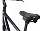 Lapierre Lapierre Trekking 3.0 | Black / Svart