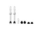 Muc-Off Tubeless Valves V2 Tubelessventiler 60 mm Silver från TCMcykel.se Artikel nr: 32625