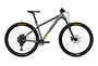 NS Bikes  NS Bikes Eccentric Lite 1 | Raw