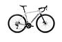 Orbea Orbea Gain D30 | Elcykel Racer / Gravel | Metallic Silver / Black