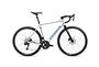 Orbea Orbea Gain D30i | Metallic Silver / Black