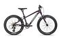 Orbea Orbea MX 20 TEAM | Purple / Mint