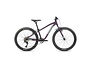 Orbea Orbea MX 24 TEAM | Purple / Mint