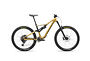 Orbea Orbea Rallon M10 | Golden Sand/ Black