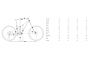 Orbea Rallon RS Team e-MTB Fuel Carbon View-Magic Gold från TCMcykel.se Artikel nr: 33836