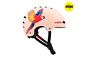 Lazer Lazer One+ MIPS | Cykelhjälm barn | Small 52-56cm | Matte Pink Parrot