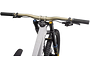 Specialized Specialized Demo Race | MTB Downhill | SMOKE/COOL GREY/BIRCH