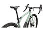 Specialized Specialized Diverge STR Comp | Gravelbike | White Sage/Pearl