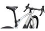 Specialized Specialized Diverge STR S-Works | Gravelbike | Chameleon Eyris Color Run/Dove Grey/Morning Mist