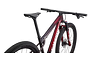 Specialized Specialized Epic WC S-Works | Gloss Red Tint / Flake Silver