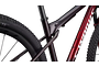 Specialized Specialized Epic WC S-Works | Gloss Red Tint / Flake Silver