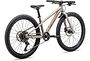 Specialized Specialized Riprock 24  | Gloss Whtmtn Ambrglw