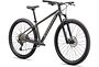 Specialized Specialized Rockhopper Expert  | Satin Smoke / Gloss Chrome