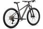 Specialized Specialized Rockhopper Expert  | Satin Smoke / Gloss Chrome