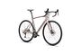 Specialized Specialized Roubaix SL8 Sport 105  | Gloss Champagne / Smoke