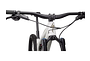 Specialized Specialized Stumpjumper EVO Expert | Gloss Birch / Taupe