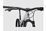 Specialized Specialized Stumpjumper LTD | Mountainbike | Dove Grey/Smoke