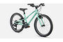 Specialized Specialized Jett 20 | Gloss Oasis / Forest Green (Turkos)