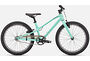 Specialized Specialized Jett 20 Single Speed | Gloss Oasis / Forest Green (Turkos)