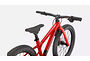 Specialized Specialized Riprock 20 | Gloss Flo Red / Black