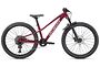 Specialized Specialized Riprock Expert 24 | Gloss Raspberry / White