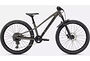 Specialized Specialized Riprock Expert 24 | Gloss Smoke / Black