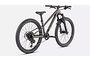 Specialized Specialized Riprock Expert 24 | Gloss Smoke / Black